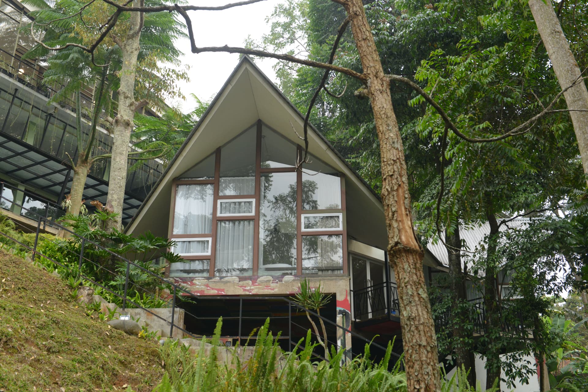 A-frame glass villa nestled among tall forest trees