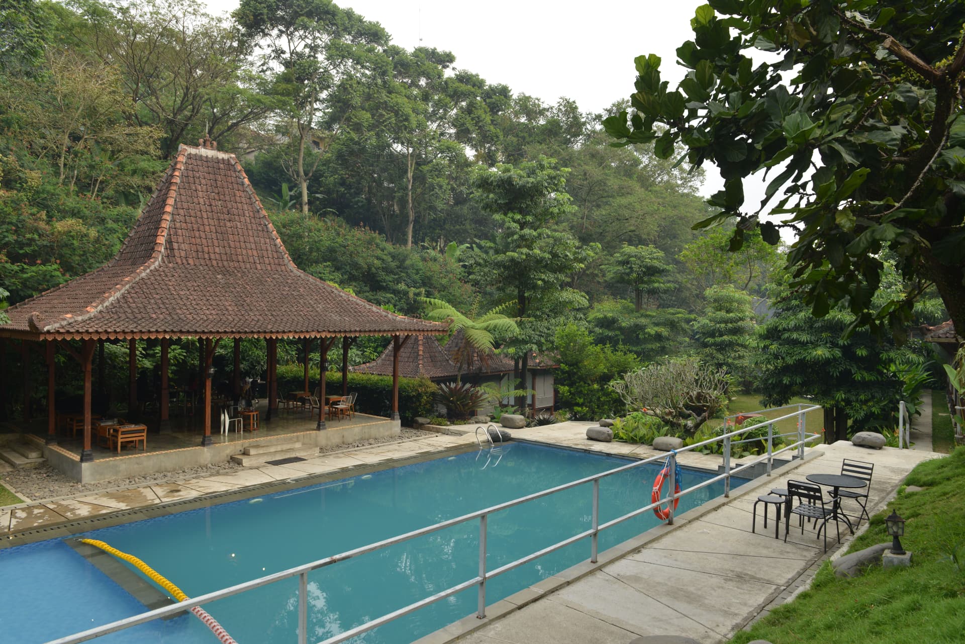 Swimming pool and Joglo pavilion surrounded by tropical forest